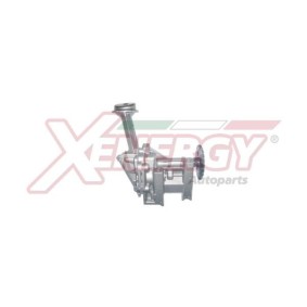 Ölpumpe von AP XENERGY