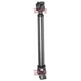 Acquista Albero sterzo da BOTTO RICAMBI BRST9398 a buon mercato per soli 273,80 €