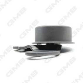 Compre Rolo tensor, correia dentada da GMB GT10022 a um preço baixo por 18,91 €