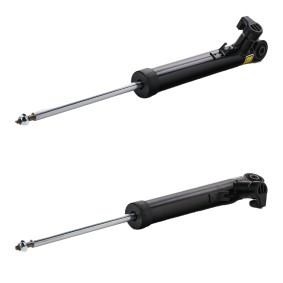 Stoßdämpfer von RIDEX