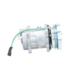 Lichtmaschine von BV PSH