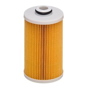 Compre Filtro de combustível da HENGST FILTER E490KP D484 a um preço baixo por 18,10 €