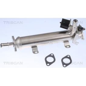 Compre Radiador EGR da TRISCAN 8813 29322 a um preço baixo por 334,06 €