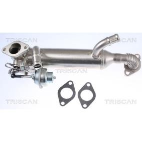 Compre Radiador EGR da TRISCAN 8813 29326 a um preço baixo por 244,24 €