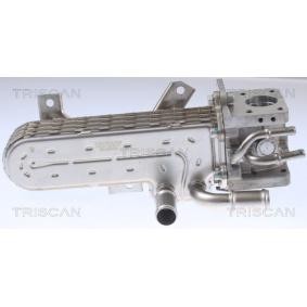 Compre Radiador EGR da TRISCAN 8813 29331 a um preço baixo por 318,63 €