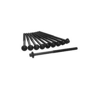 Zylinderkopfschraubensatz 81069300