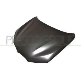 Motorhaube BM7063100