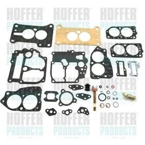 Reparatursatz, Vergaser N211