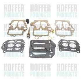 Reparatursatz, Vergaser N313