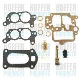Reparatursatz, Vergaser N325