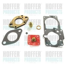 Reparatursatz, Vergaser S17G