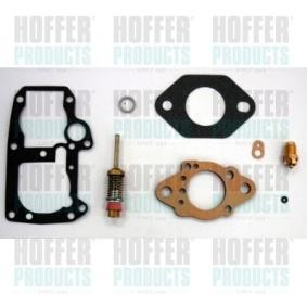 Reparatursatz, Vergaser S42F für RENAULT