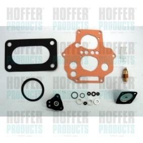 Reparatursatz, Vergaser W389