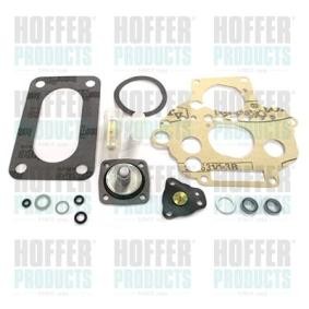 Reparatursatz, Vergaser W520