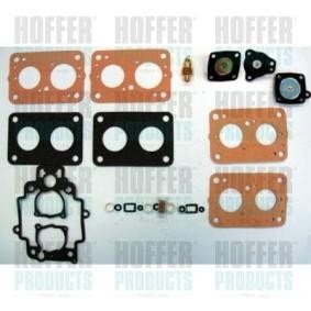 Reparatursatz, Vergaser W548