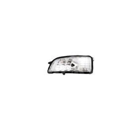 Blinker 6201599