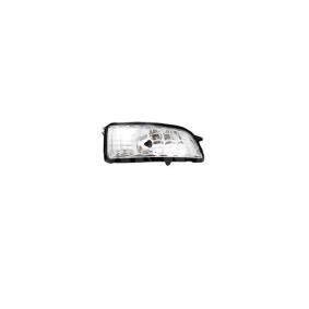 Blinker 6202599