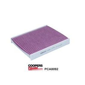 Acquista Filtro abitacolo da COOPERSFIAAM FILTERS PCA8092 a buon mercato per soli 62,82 €