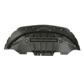 Motor- / Unterfahrschutz 6601-02-2586880P