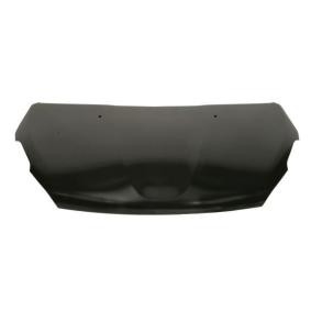 Motorhaube 6803-00-5509280Q