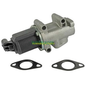 Acquista Valvola EGR da INTFRADIS 2552 a buon mercato per soli 156,32 €