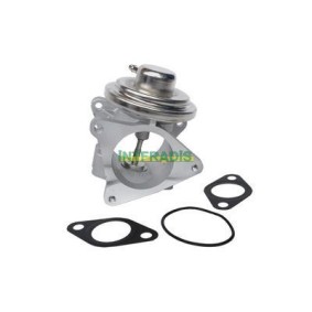 Acquista Valvola EGR da INTFRADIS 2563 a buon mercato per soli 82,43 €