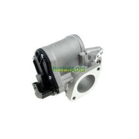 Acquista Valvola EGR da INTFRADIS 2569 a buon mercato per soli 172,74 €