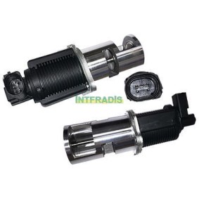 Acquista Valvola EGR da INTFRADIS 2573 a buon mercato per soli 114,94 €