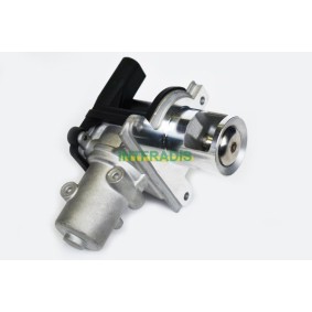 Acquista Valvola EGR da INTFRADIS 2576 a buon mercato per soli 119,78 €