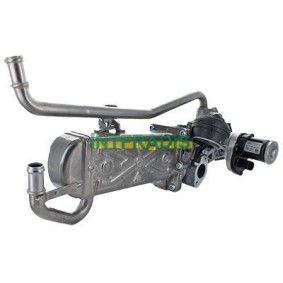 Acquista Valvola EGR da INTFRADIS 2591 a buon mercato per soli 253,36 €