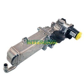 Acquista Valvola EGR da INTFRADIS 2594 a buon mercato per soli 271,13 €