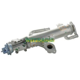 Acquista Valvola EGR da INTFRADIS 25991 a buon mercato per soli 384,61 €