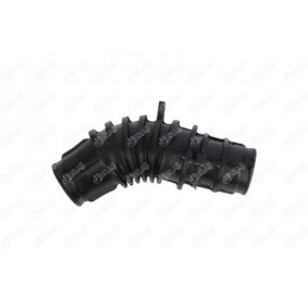 Comprar Tubo flexible de aspiración, filtro de aire de IBRAS 21509 a bajo precio de 19,53 €