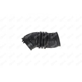 Comprar Tubo flexible de aspiración, filtro de aire de IBRAS 21513 a bajo precio de 16,47 €