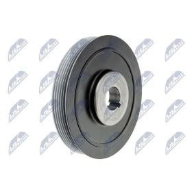 Achetez des Poulie damper (vilebrequin) NTY RKP-FT-012 à prix pour 57,27 €