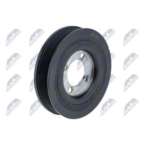 Achetez des Poulie damper (vilebrequin) NTY RKP-PL-005 à prix pour 37,27 €