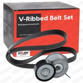 Achetez des Kit de courroie d'accessoire de chez STARK en ligne pour Vivaro C Camion à Plateau / Châssis (K0) à prix modérés