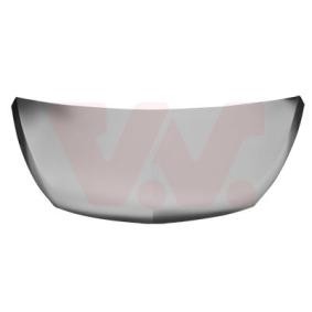 Motorhaube 3891670