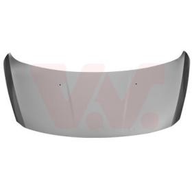 Motorhaube 4076660