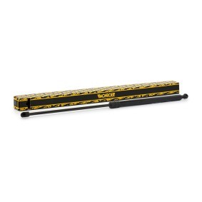 Heckklappendämpfer von MONROE
