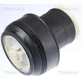 Acquista Molla pneumatica da TRISCAN 8720 11203 a buon mercato per soli 175,03 €