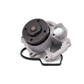Achetez des Pompe à eau HEPU P380 à prix pour 99,66 €