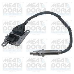 NOx-Sensor, NOx-Katalysator von MEAT & DORIA