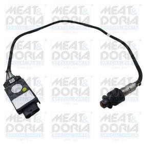 NOx-Sensor, NOx-Katalysator von MEAT & DORIA
