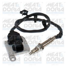 NOx-Sensor, NOx-Katalysator von MEAT & DORIA