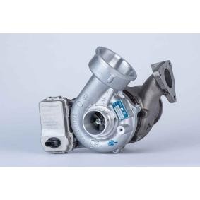 Kjøp Turbolader av BorgWarner 53039880171 til den lave prisen 16421,35 NOK
