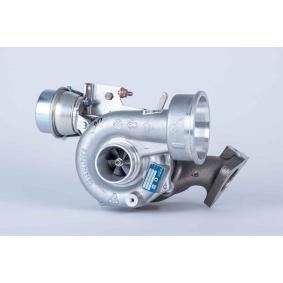Kjøp Turbolader av BorgWarner 53039887001 til den lave prisen 4486,58 NOK