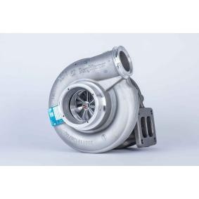 Comprar Turbocompresor de 3K 53319887141 a bajo precio de 719,33 €