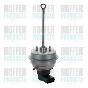 Compre Válvula reguladora da pressão de sobrealimentação da HOFFER 6700070 a um preço baixo por 335,53 €