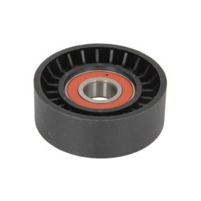 Comprar Tensor de correa poli V de BTA E3F0002BTA a bajo precio de 48,65 €